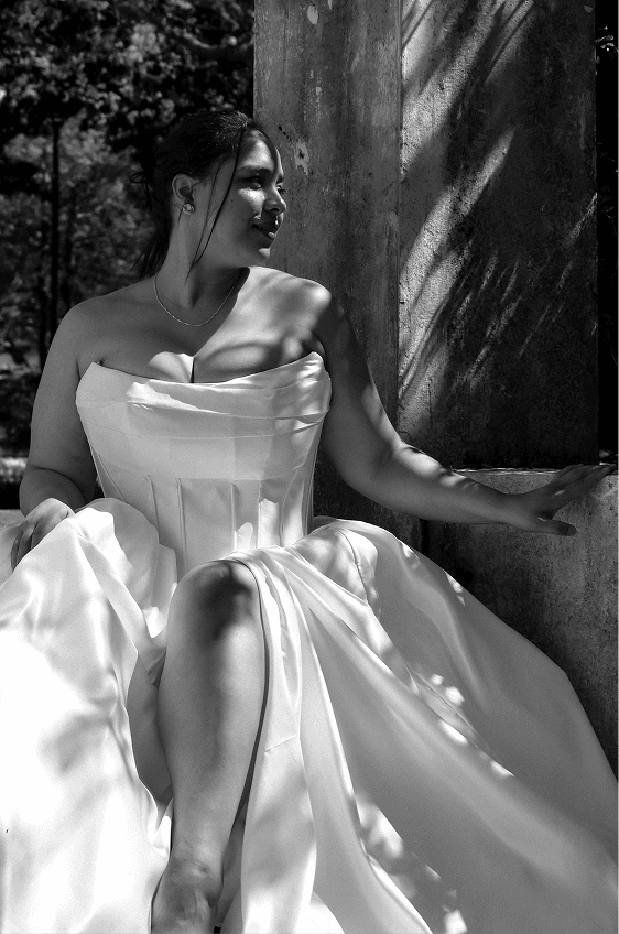 Curve Collection - Sophisticated Curves