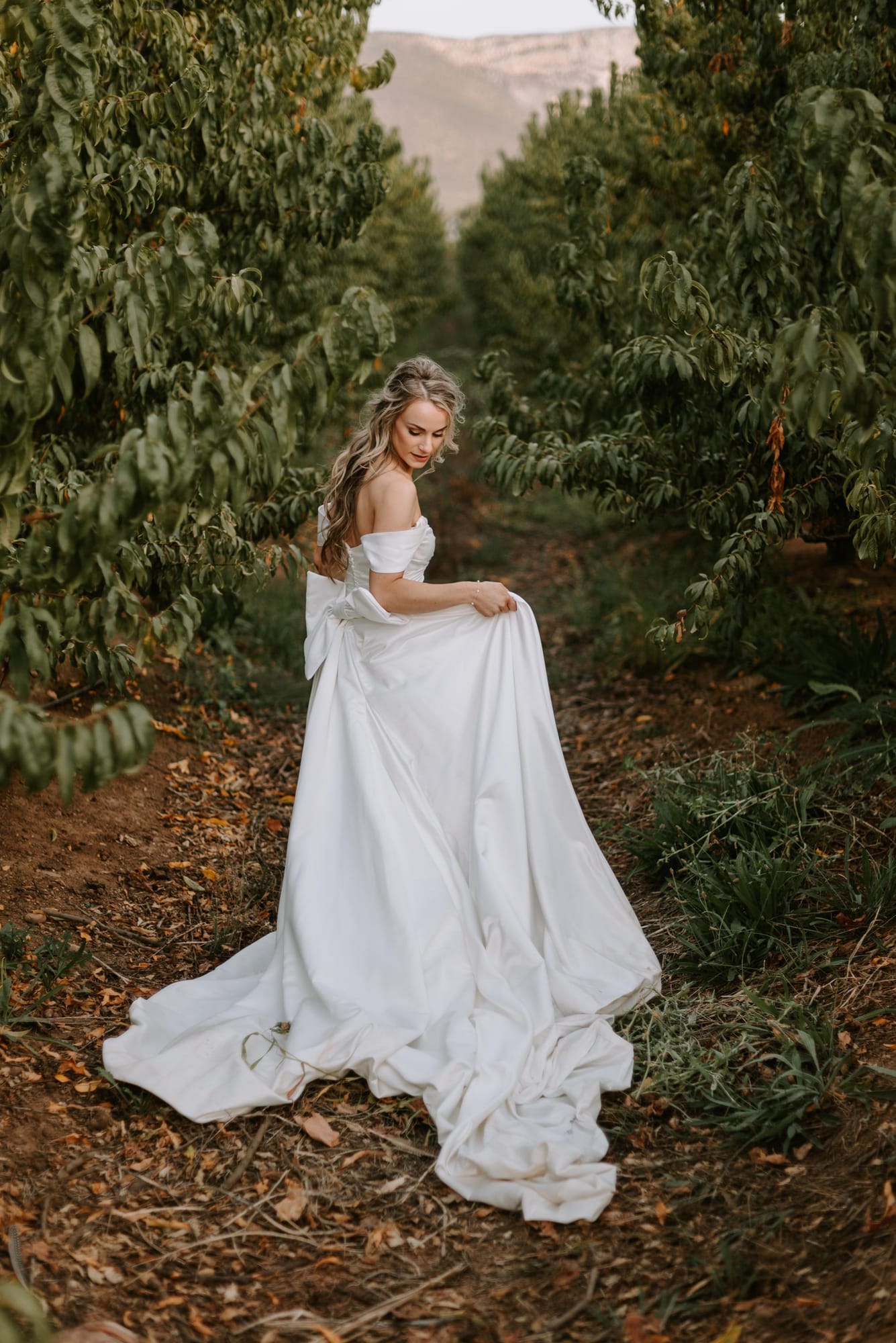 Orchard Enchantment