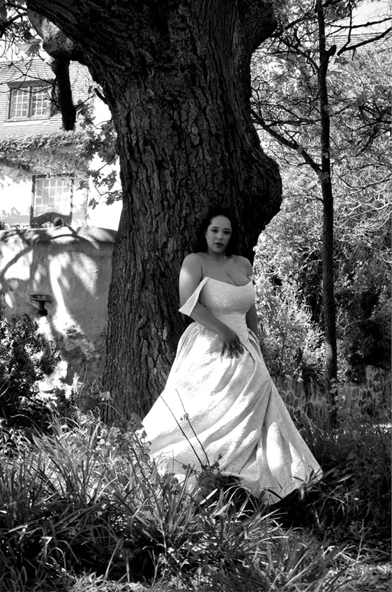 Curve Collection - Elegant Curves